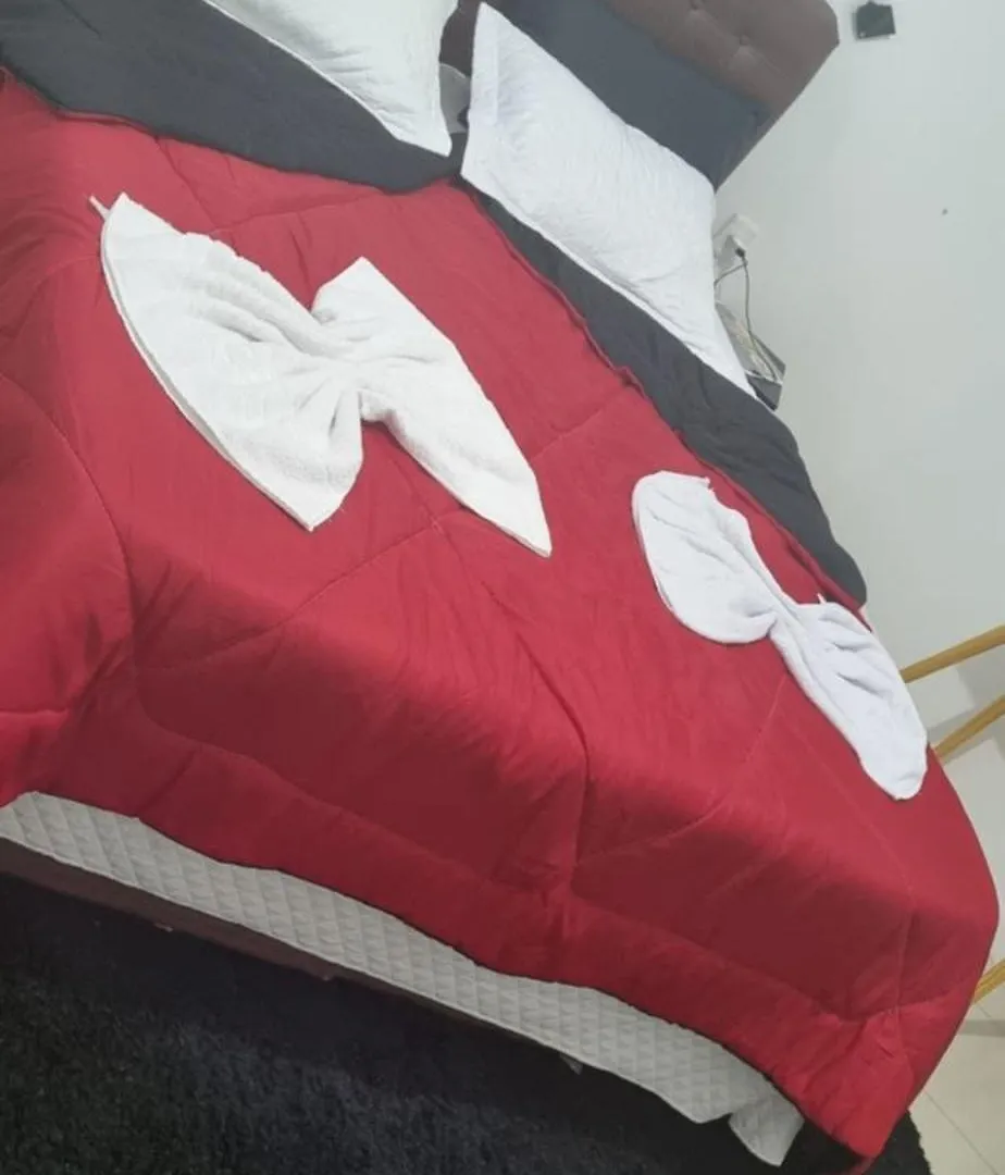 Suite Master,Quarto Ar Condicionado,Tela Cinema 150